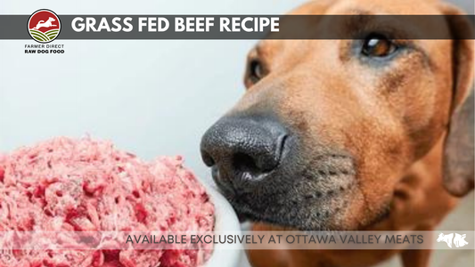 A dog with its nose close to a picture of grass fed beef, with the text 'GRASS FED BEEF RECIPE' and 'AVAILABLE EXCLUSIVELY AT OTTAWA VALLEY MEATS' displayed.