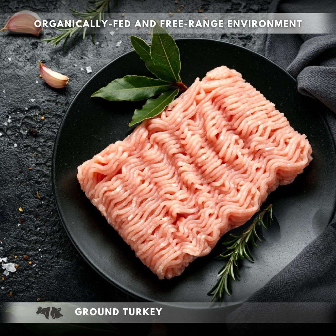 Can i feed my sales dog raw ground turkey