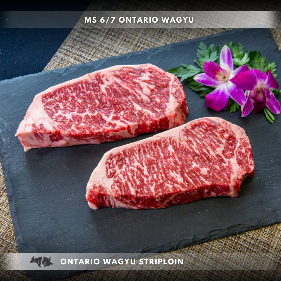 Ontario Wagyu Striploin BMS 6/7