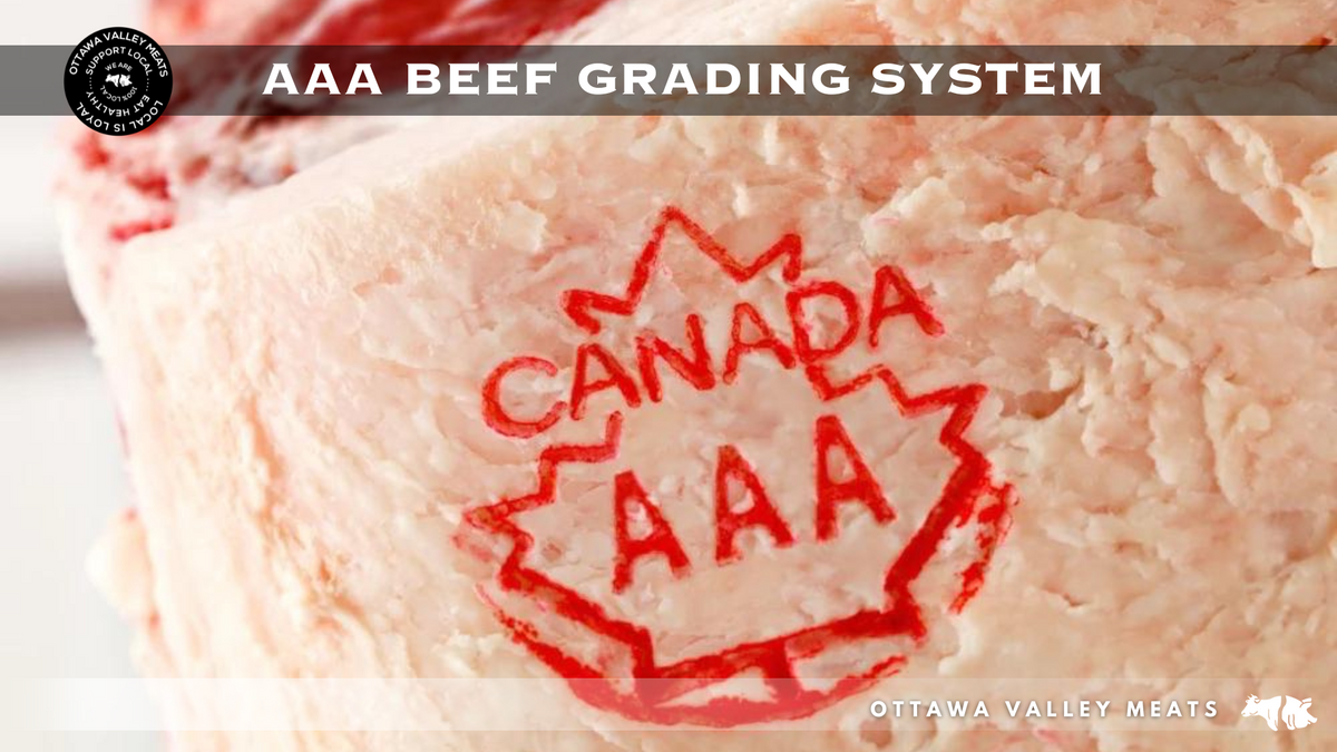 Beef Grading Machine Understanding the AAA Beef Grading System in Canada