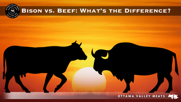 Bison vs. Beef: What’s the Difference?