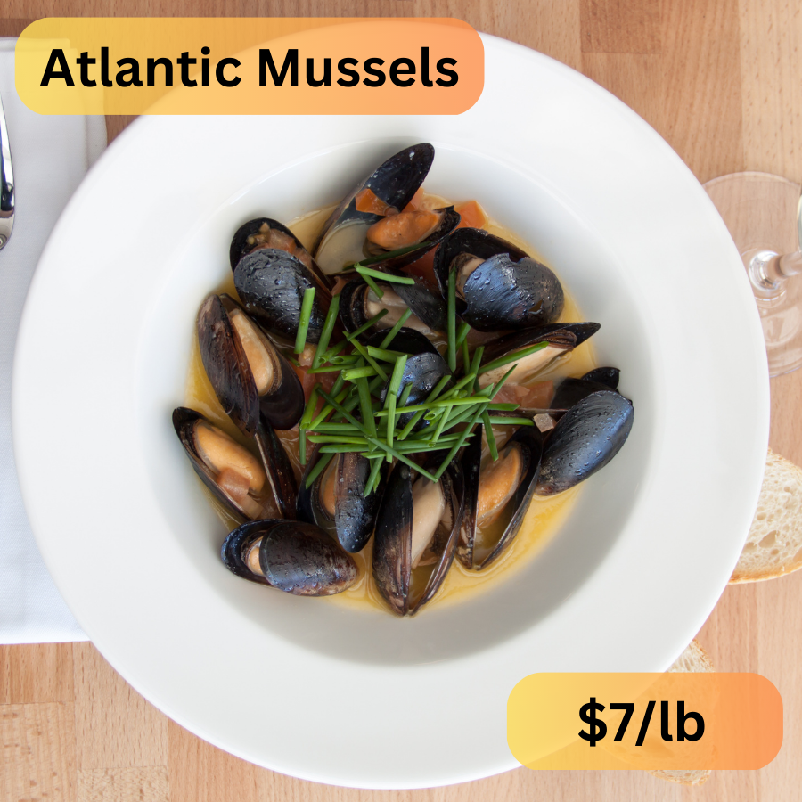 White Wine Atlantic Mussels