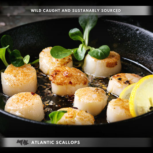 Atlantic Scallops (U15)