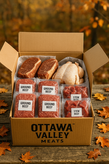 🍂 Fall Bundle 🍂