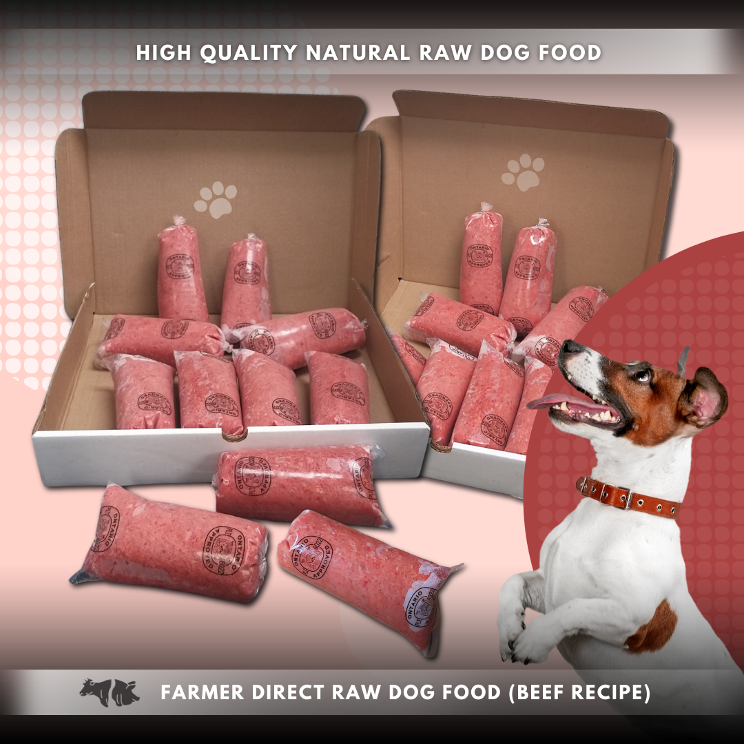 Farmer Direct Raw Dog Food (Beef Recipe)