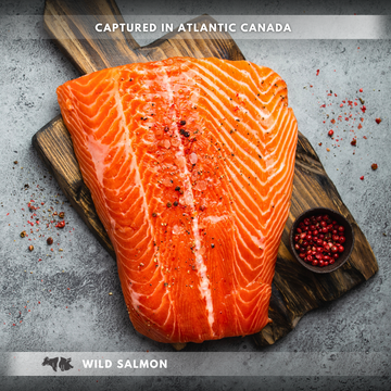 Wild Salmon