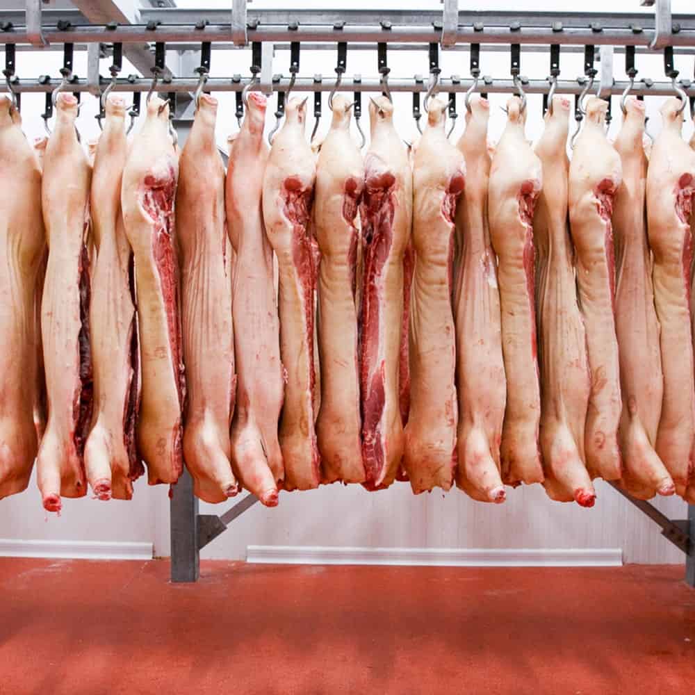 Half Pig (Free-Range) - Ottawa Valley Meats